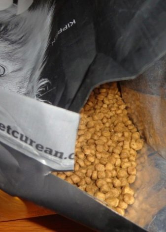 Корм для старих кішок: чим годувати кішку старше 12 років? Кращі корми для котів