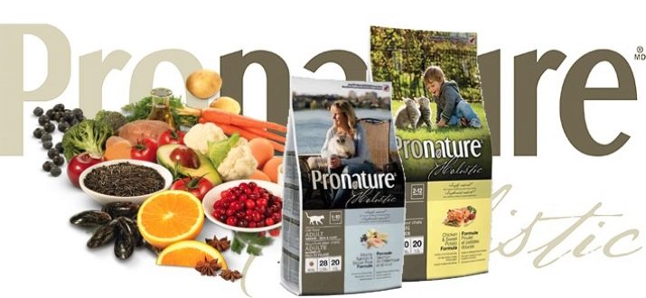 Корм для старих кішок: чим годувати кішку старше 12 років? Кращі корми для котів