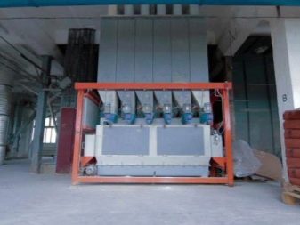 Корм в пакетиках для кішок: з чого роблять і скільки котячого корму давати коту в день? Як відучити кішок є рідкий корм?