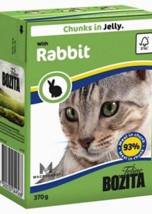 Корм в пакетиках для кішок: з чого роблять і скільки котячого корму давати коту в день? Як відучити кішок є рідкий корм?