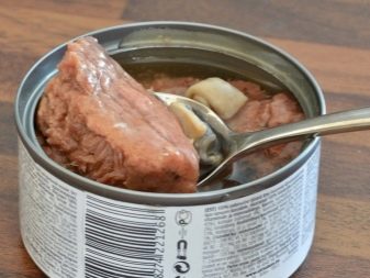 Корм в пакетиках для кішок: з чого роблять і скільки котячого корму давати коту в день? Як відучити кішок є рідкий корм?