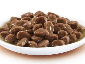 Корм в пакетиках для кішок: з чого роблять і скільки котячого корму давати коту в день? Як відучити кішок є рідкий корм?