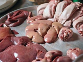 Корм в пакетиках для кішок: з чого роблять і скільки котячого корму давати коту в день? Як відучити кішок є рідкий корм?