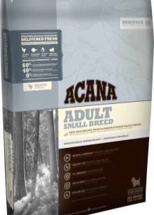 Корми для той-тер’єра: сухі корми преміум-класу та інші варіанти для цуценяти і дорослого собаки. Чим краще годувати?