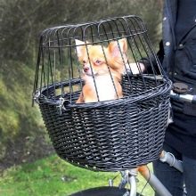 Кошика для собак на велосипед: як вибрати велосипедну кошик для перевезення тварин, велокорзину і велосумку на кермо для собак різних порід?
