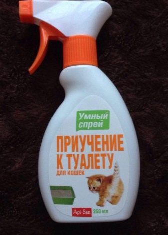 Кошти для привчання кошеня до лотка: ефективний захист місць спреєм та іншими засобами, не призначених для туалету кішки