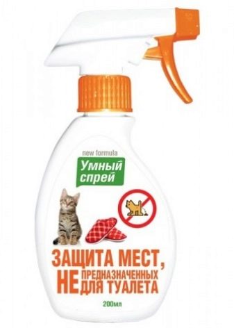 Кошти для привчання кошеня до лотка: ефективний захист місць спреєм та іншими засобами, не призначених для туалету кішки