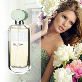 Косметика Ciel: огляд продукції. Плюси і мінуси. Відгуки покупців і візажистів