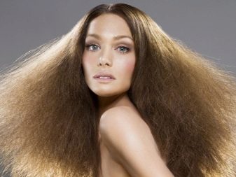 Косметика для волосся: Eliokap і Kemon, Alfaparf і Dikson, Brelil Professional і BES, інші елітні засоби по догляду за волоссям