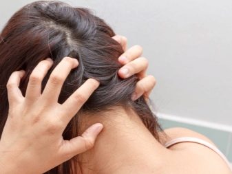 Косметика для волосся: Eliokap і Kemon, Alfaparf і Dikson, Brelil Professional і BES, інші елітні засоби по догляду за волоссям