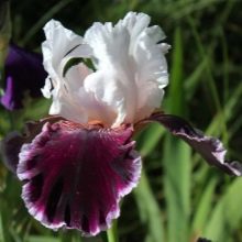 Косметика I. C. Lab: плюси і мінуси індивідуальної косметики. Різноманітність продукції. Відгуки