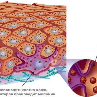 Косметика від пігментних плям на обличчі: вибираємо відбілюючий засіб проти пігментації. Огляд виробників: Floresan «Білий льон», Bioscreen та інші