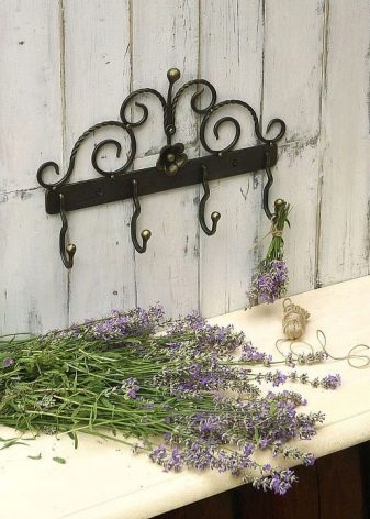 Ковані вішалки в передпокій (42 фото): вибираємо настінні і підлогові ковані вішалки, приклади в інтер’єрі