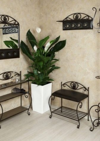 Ковані вішалки в передпокій (42 фото): вибираємо настінні і підлогові ковані вішалки, приклади в інтер’єрі