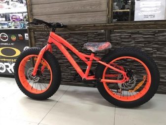 Кращі велосипеди до 20000 рублів: топ популярних виробників і огляд кращих моделей до 20 тисяч