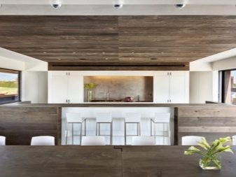 Кухня під дерево в сучасному стилі (27 фото): дизайн кутових і прямих кухонних гарнітурів під дерево в сучасному стилі в інтер’єрі