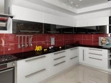 Кутові кухні з пластика (33 фото): ідеї дизайну, варіанти колірних рішень пластикових кухонних гарнітурів в алюмінієвій рамці