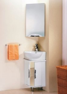 Кутові шафи у ванну кімнату (55 фото): пластиковий й інші різновиди. Рожевий і інші забарвлення. Поради щодо вибору