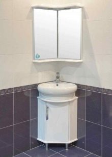 Кутові шафи у ванну кімнату (55 фото): пластиковий й інші різновиди. Рожевий і інші забарвлення. Поради щодо вибору