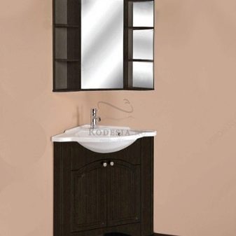 Кутові шафи у ванну кімнату (55 фото): пластиковий й інші різновиди. Рожевий і інші забарвлення. Поради щодо вибору