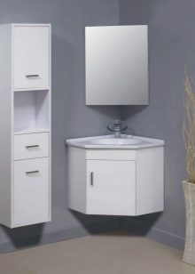 Кутові шафи у ванну кімнату (55 фото): пластиковий й інші різновиди. Рожевий і інші забарвлення. Поради щодо вибору