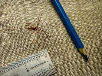 Ланцюжок з дроту своїми руками: плетіння прикраси з мідного дроту у домашніх умовах