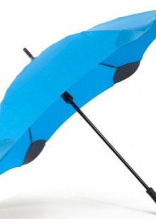 Маленький парасольку (56 фото): жіночі міні-парасольки Mybrella, моделі в футлярі і складні в чохлі