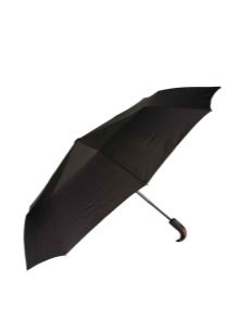 Маленький парасольку (56 фото): жіночі міні-парасольки Mybrella, моделі в футлярі і складні в чохлі