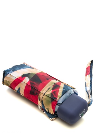 Маленький парасольку (56 фото): жіночі міні-парасольки Mybrella, моделі в футлярі і складні в чохлі