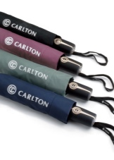 Маленький парасольку (56 фото): жіночі міні-парасольки Mybrella, моделі в футлярі і складні в чохлі