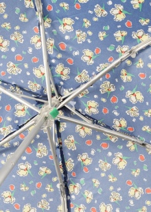 Маленький парасольку (56 фото): жіночі міні-парасольки Mybrella, моделі в футлярі і складні в чохлі