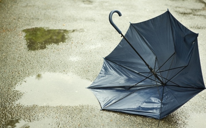 Маленький парасольку (56 фото): жіночі міні-парасольки Mybrella, моделі в футлярі і складні в чохлі