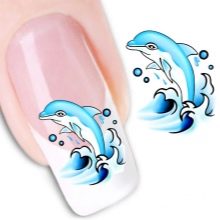 Манікюр з дельфінами (25 фото): ідеї дизайну нігтів з дельфінами