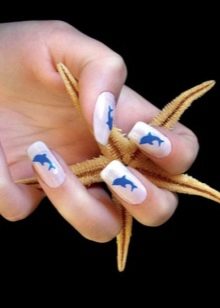 Манікюр з дельфінами (25 фото): ідеї дизайну нігтів з дельфінами