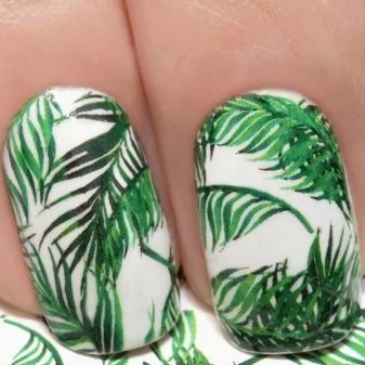 Манікюр з листям: дизайн нігтів з зображенням листя