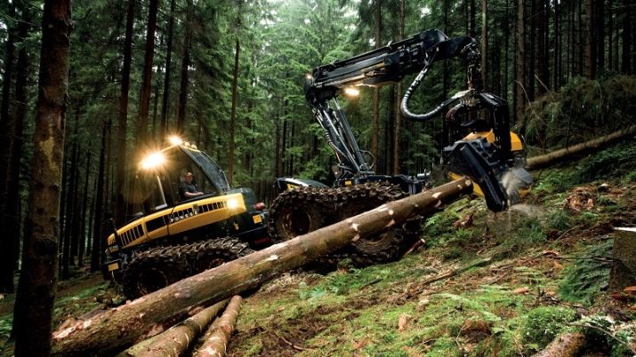 Машиніст лісозаготівельних машин: профстандарт і навчання тракториста харвестера і форвардера, ЄТКД