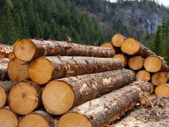 Машиніст лісозаготівельних машин: профстандарт і навчання тракториста харвестера і форвардера, ЄТКД