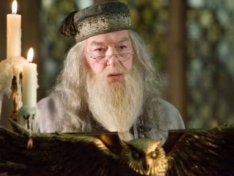 Імена для папуг: прикольні, красиві, цікаві і популярні клички для папуг-дівчаток і папуг-хлопчиків