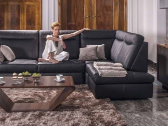 Німецькі дивани: кутові і прямі, розкладні і трансформер, преміум-класу меблі виробництва Німеччини, технології та механізми