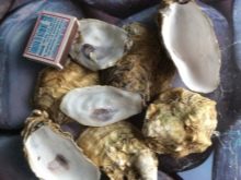 Ніж для устриць (14 фото): опис устричного ножа. Як вибрати найкращий варіант? Як ним користуватися?