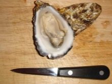 Ніж для устриць (14 фото): опис устричного ножа. Як вибрати найкращий варіант? Як ним користуватися?