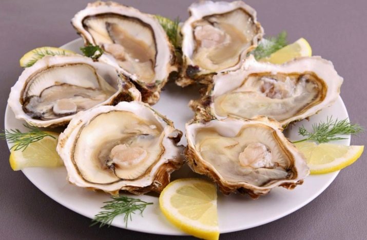 Ніж для устриць (14 фото): опис устричного ножа. Як вибрати найкращий варіант? Як ним користуватися?