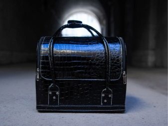 Набір косметики для макіяжу у валізці: різновиди б’юті-кейсів для жінок, професійні косметичні набори у валізі для дівчат