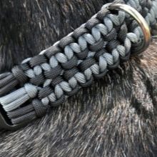 Нашийники для собак великих порід: шкіряні, нейлонові та інші види, рекомендації з вибору