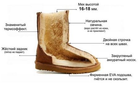Натуральні уггі (43 фото): жіночі моделі з овчини та замші