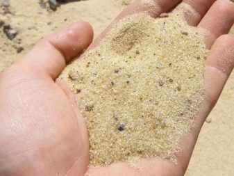 Наяс (16 фото): правила утримання і розведення акваріумного рослини, опис наяса рорайма, егерії, гваделупського та інших різновидів