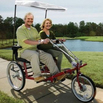 Незвичайні велосипеди (29 фото): літаючі й самі оригінальні моделі світу з кабіною, біговою доріжкою і квадратними колесами