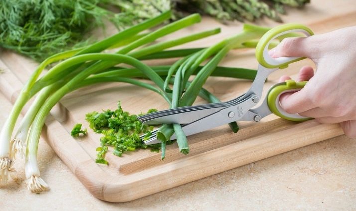 Ножиці для зелені: кухонні ножиці з 5 лезами для різання зелені і інші моделі ножів для подрібнення трав