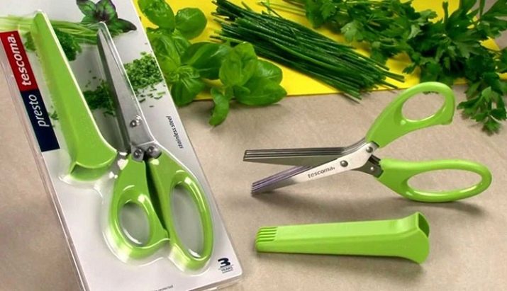 Ножиці для зелені: кухонні ножиці з 5 лезами для різання зелені і інші моделі ножів для подрібнення трав