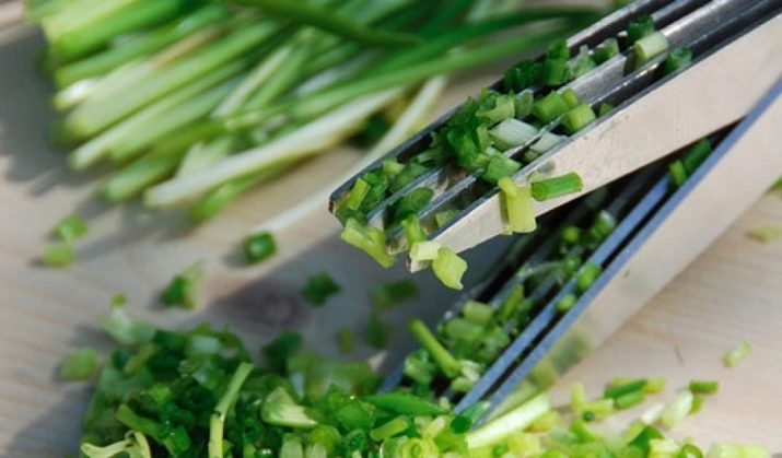 Ножиці для зелені: кухонні ножиці з 5 лезами для різання зелені і інші моделі ножів для подрібнення трав